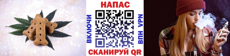 как найти наркотики  Суровикино  Canna-Cookies конопля 