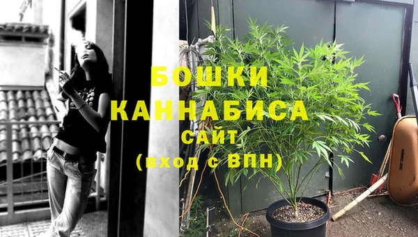бутират Горняк