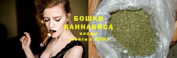 сатива Горно-Алтайск
