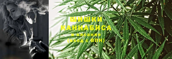 сатива Горно-Алтайск