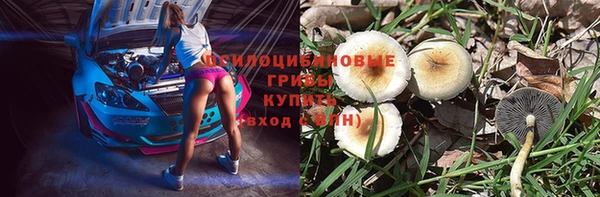 бутират Горняк